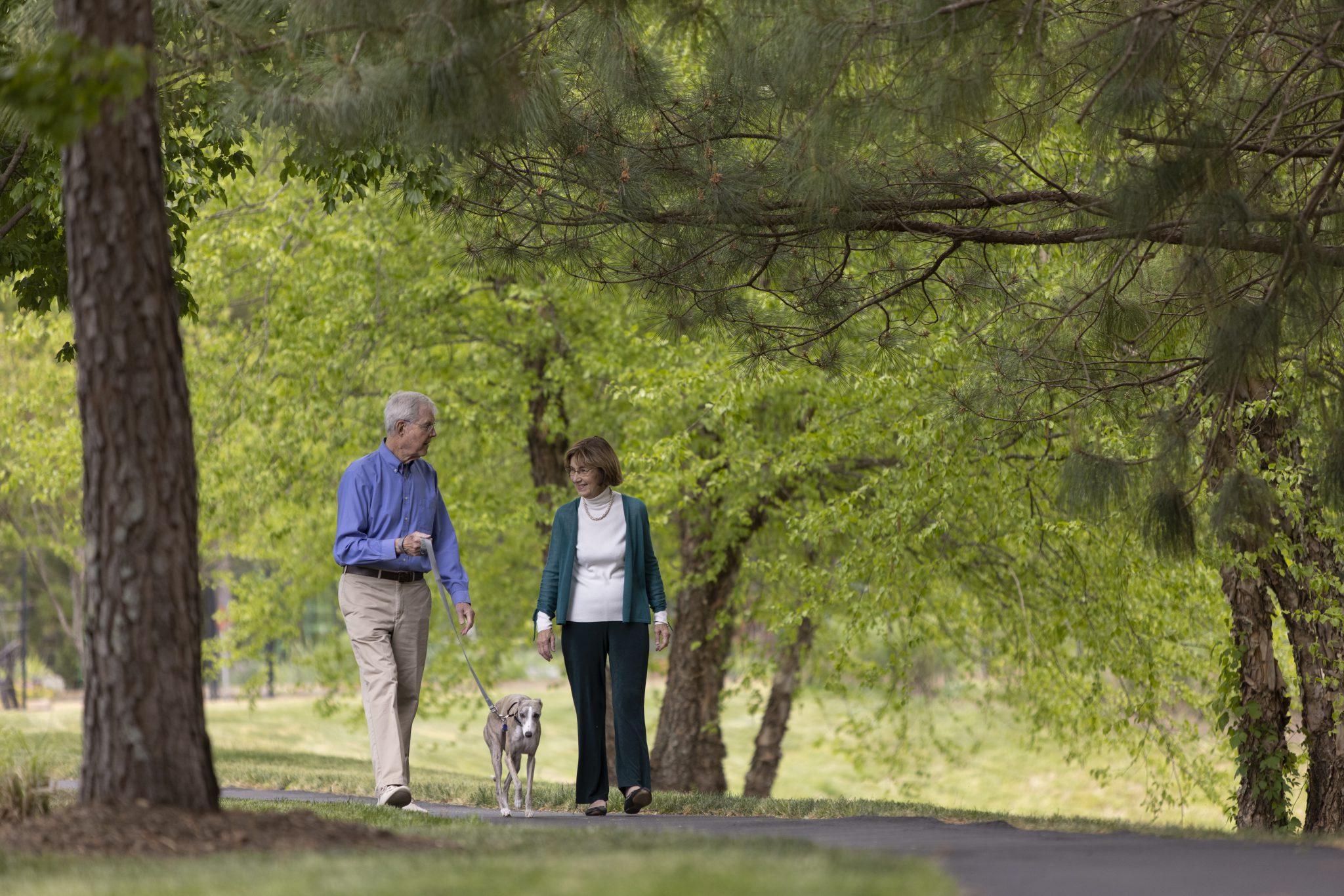 Residences & Homes | Galloway Ridge at Fearrington