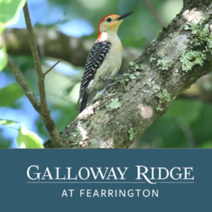 This is your Life at Galloway Ridge Late Spring 2025
